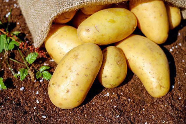 potatoes photo