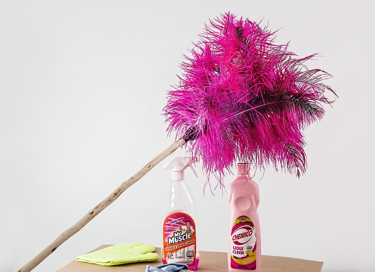 feather duster photo