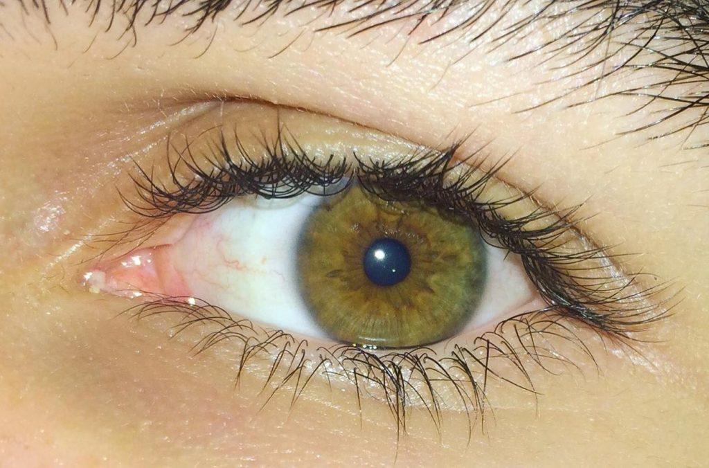 lieskovohnedé oči 