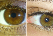 lieskovohnedé oči